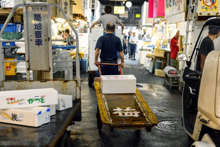 viaggio fotografico tokyo